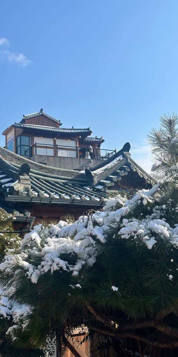 JEONJU || 29th December1