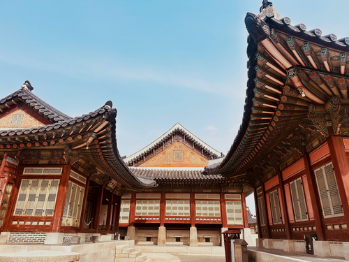 Fall-ing for Korea: Autumn Mega Group Trip with Reetu & Anisha